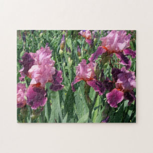 Puzzle Floral de primavera de irisis moradas