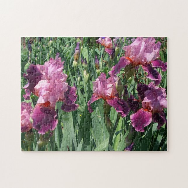 Puzzle Floral de primavera de irisis moradas (Horizontal)