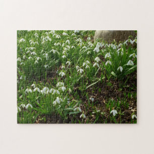 Puzzle Floral de primavera (Galanthus)