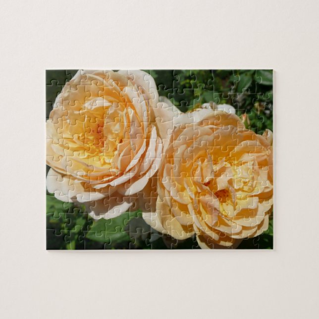 Puzzle Floral de Trío de Rosas de Peach (Horizontal)