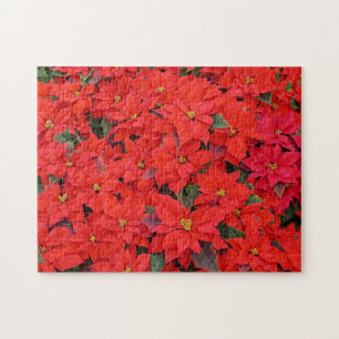 Puzzle Floral Foto de Poinsettias Rojas de Navidad