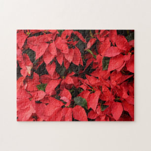 Puzzle Floral navideña de Navidades de la Poinsettias Roj