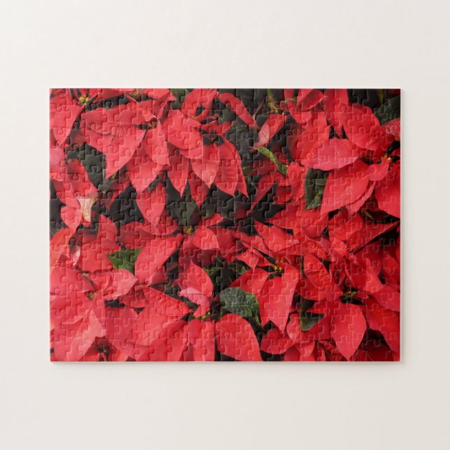 Puzzle Floral navideña de Navidades de la Poinsettias Roj (Horizontal)