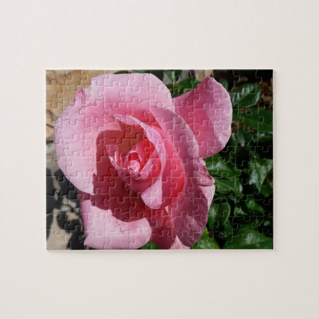 Puzzle Floral rosa Rose Garden (Horizontal)