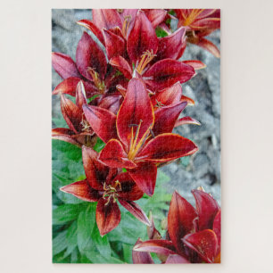 Puzzle Floral Stargazer Lily, Flor Roja Canadiense
