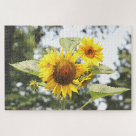 Puzzle Florecimiento de girasol amarillo