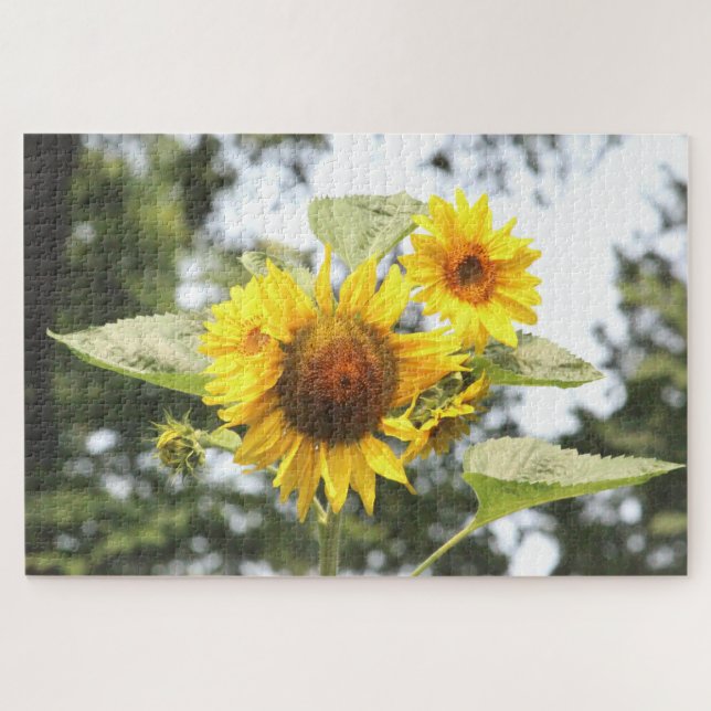 Puzzle Florecimiento de girasol amarillo (Horizontal)