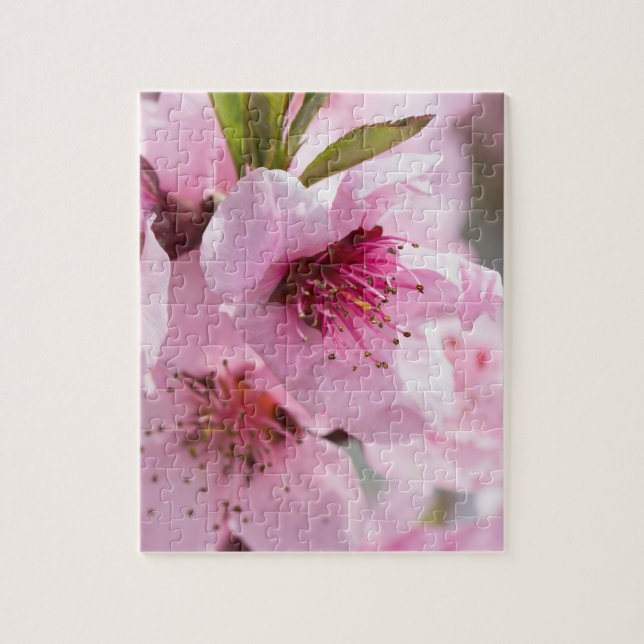 Puzzle Florecimiento de la primavera (Vertical)