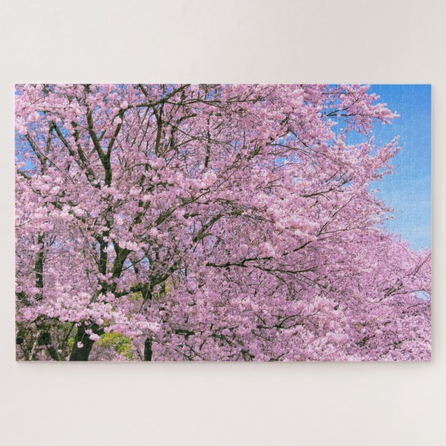 Puzzle Florecimiento del cerezo en flor (Horizontal)