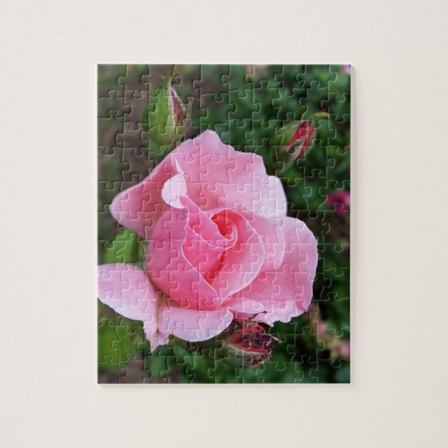Puzzle florecimiento rosa rosado (Vertical)