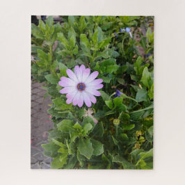 Puzzle Flores 
