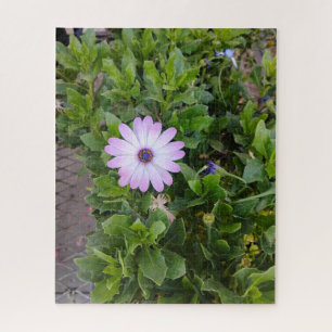 Puzzle Flores 