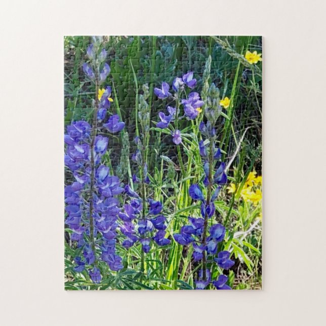 Puzzle Flores alpinas moradas y amarillas (Vertical)