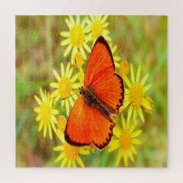 Puzzle Flores amarillas de mariposa Naranja brillante