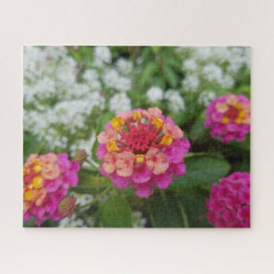 Puzzle Flores amarillas y blancas en el jardín