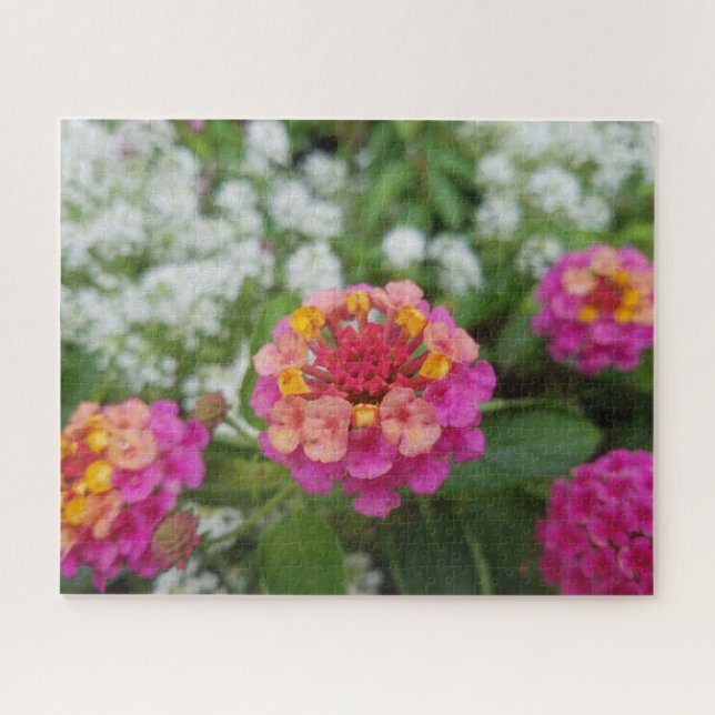 Puzzle Flores amarillas y blancas en el jardín (Horizontal)