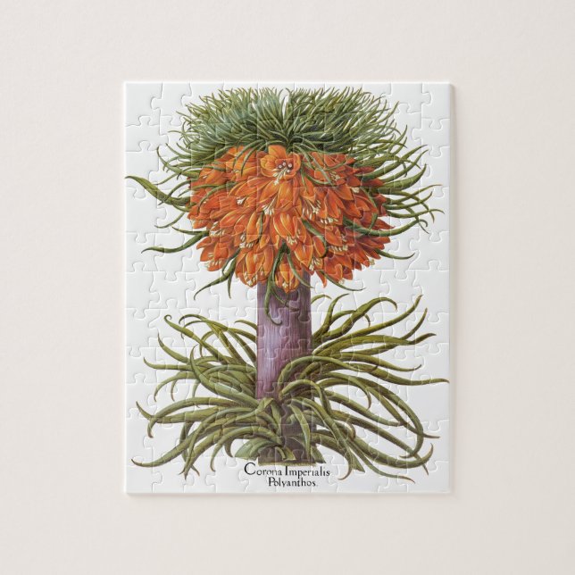 Puzzle Flores antiguos de Fritillaria por Basilius Besler (Vertical)
