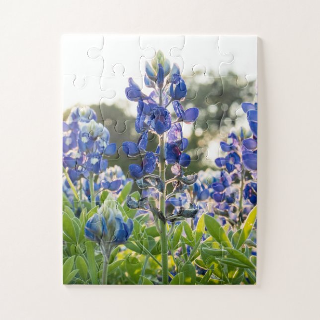 Puzzle Flores azules de Bluebonnets Texas Texan Floral (Vertical)