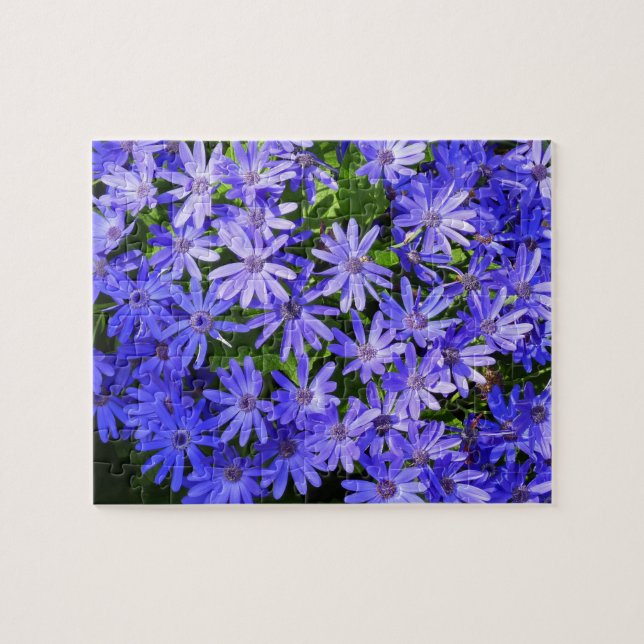 Puzzle Flores Azules Semejantes a Margaritas Fotografía d (Horizontal)