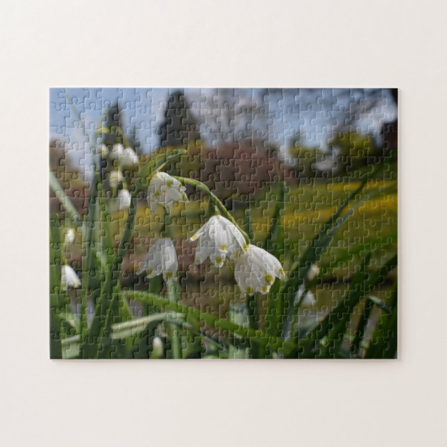 Puzzle Flores blancas con jardines paisajísticos al fondo (Horizontal)