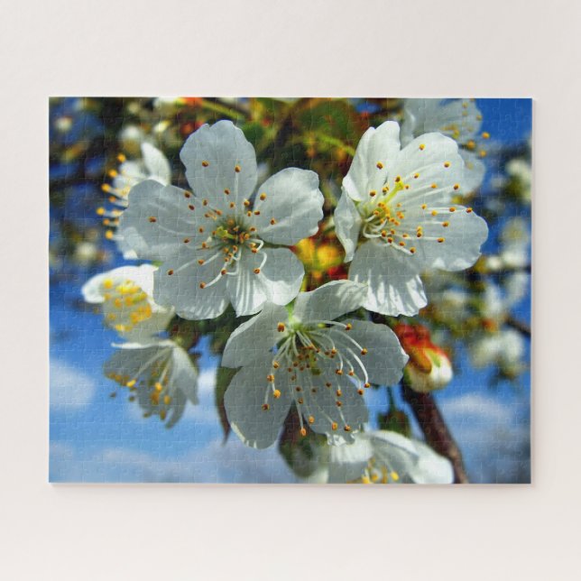 Puzzle Flores blancas de flor de manzano (Horizontal)