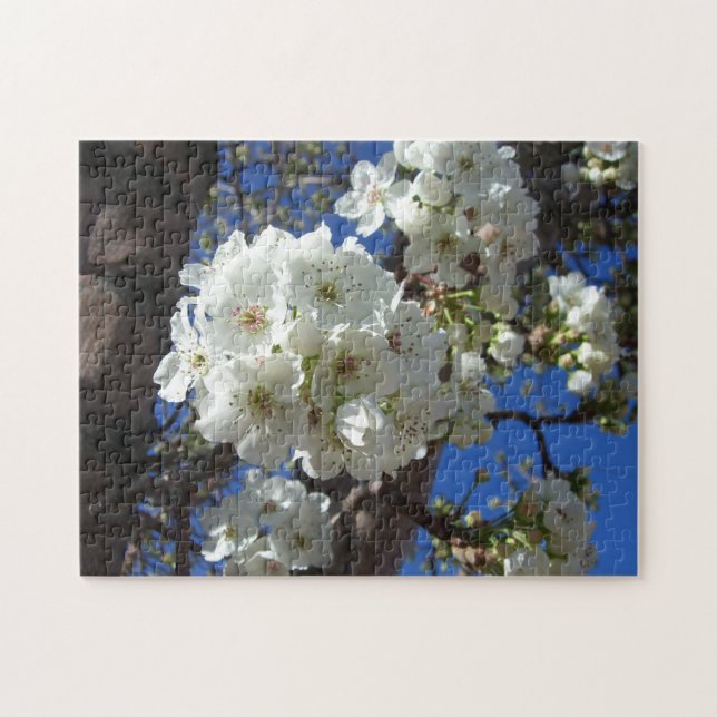 Puzzle Flores blancas en el árbol perverso ornamental (Horizontal)