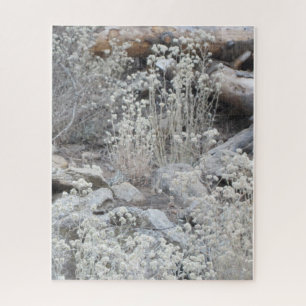 Puzzle Flores blancas en el bosque