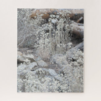 Puzzle Flores blancas en el bosque