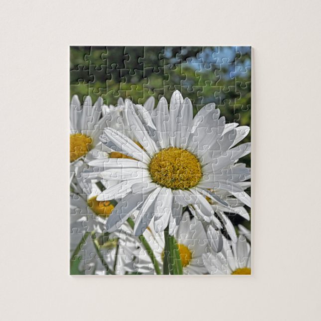 Puzzle Flores bonitos de la margarita blanca (Vertical)