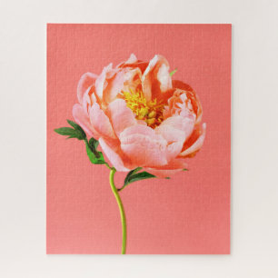 Puzzle Flores Coral Peony Blossom