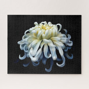 Puzzle Flores   Crisantemo blanco