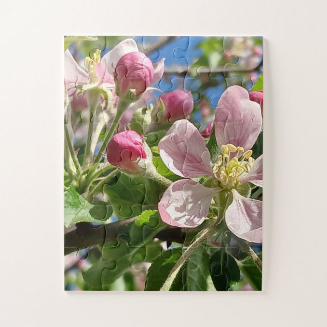 Puzzle Flores de Apple de primavera (Vertical)