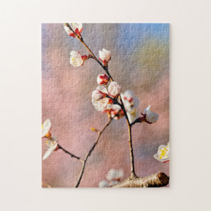 Puzzle Flores De Apricot Japonesas En Primavera
