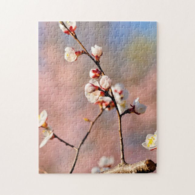 Puzzle Flores De Apricot Japonesas En Primavera (Vertical)