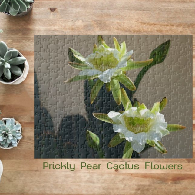 Puzzle Flores de cactus Pragas Flores Pear Flores Fotográ (Subido por el creador)