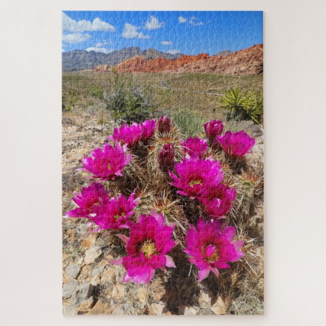 Puzzle Flores de cactus rosados en el cañón Red Rock, NV (Vertical)