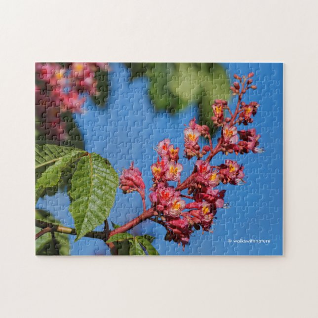 Puzzle Flores de castaño rosado de caballo (Horizontal)
