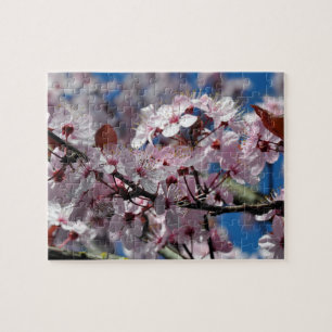 Puzzle Flores de cerezo rosa