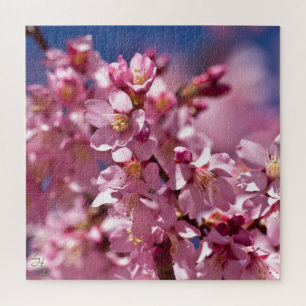 Puzzle Flores de Cerezo Sakura Besadas por la Luz del Sol