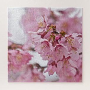 Puzzle Flores de cerezo Sakura Rosa Pálido