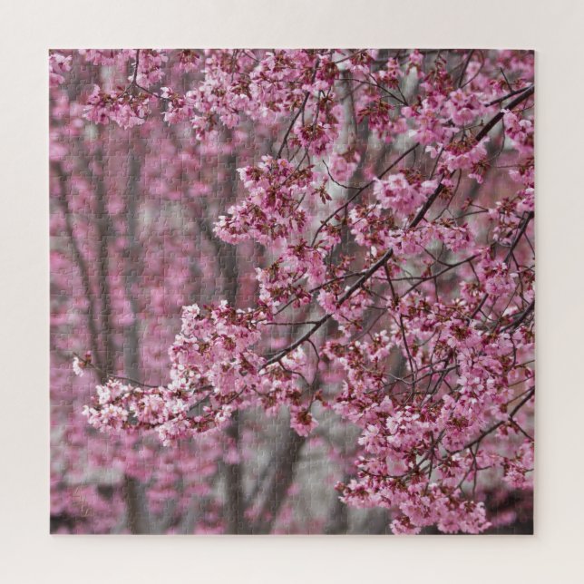 Puzzle Flores de cerezo Sakura rosadas flotando (Vertical)