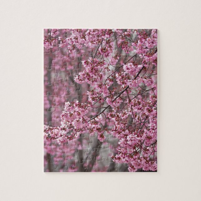 Puzzle Flores de cerezo Sakura rosadas flotando (Vertical)