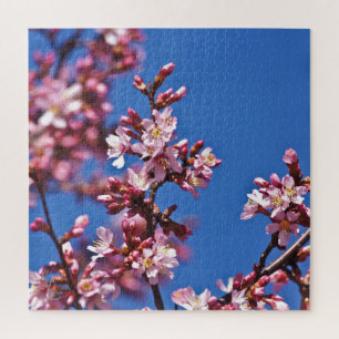 Puzzle Flores de Cerezo Sakura Tocando Azul
