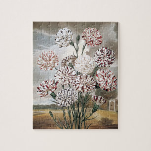 Puzzle Flores de clavel variados vintage con cielo gris