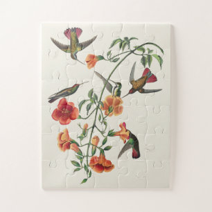 Puzzle Flores de colibríes de mango vintage Audubon
