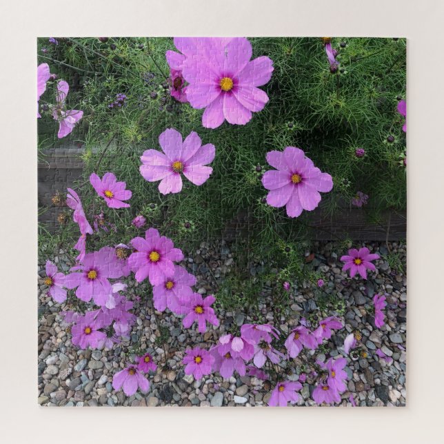 Puzzle Flores de cosmos con guijarros (Vertical)
