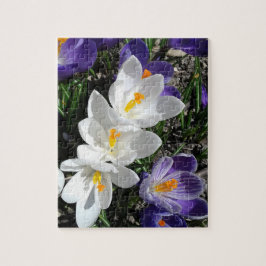 Puzzle Flores de Crocus de primavera en el parque
