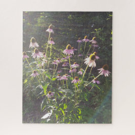 Puzzle Flores de Echinacea al Sol