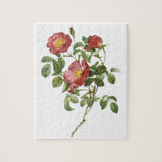 Puzzle Flores de época rosa de amor rojo floral de Redout (Vertical)