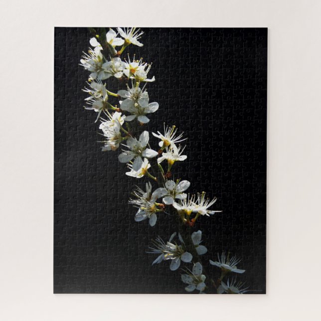Puzzle Flores de espino de Hawthorn 16x20 520pc jpcnm (Vertical)